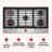 infographic1
