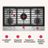 infographic1