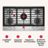 infographic1