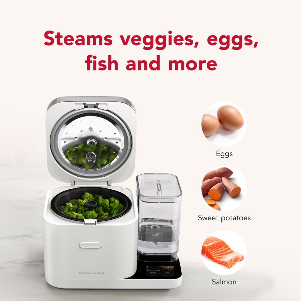 Grain and Rice Cooker